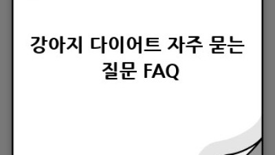 사랑스런 내 강아지, 건강하게 다이어트 하는 방법