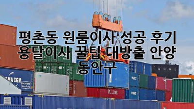 평촌동 원룸이사 성공 후기🏠 용달이사 꿀팁 대방출! #안양 #동안구